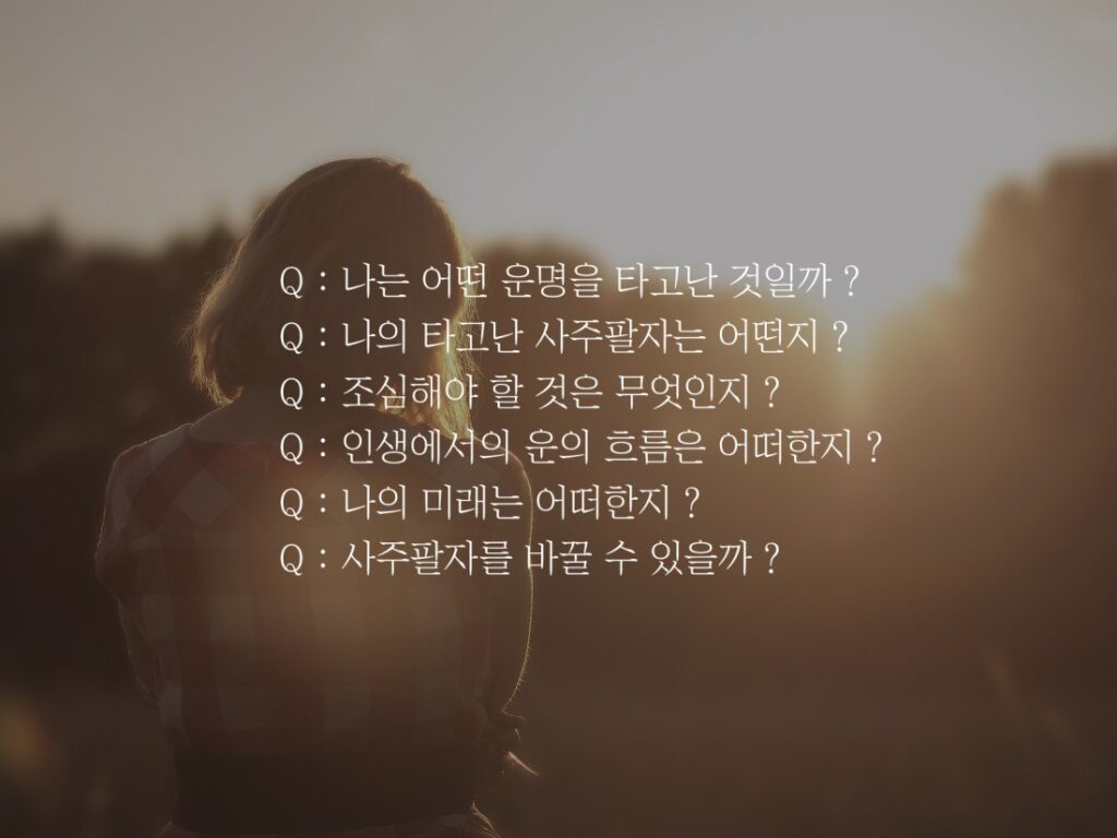 사주상담